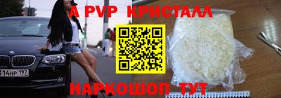 дурь Гай